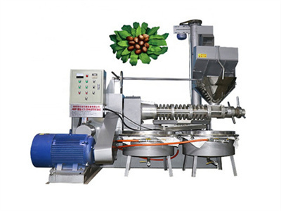 6yy 230 palm hydraulic oil press machine in lagos