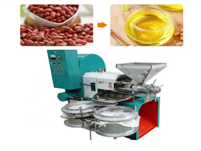 tanzania factory price peanut soybean oil pressing machine