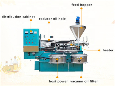 mumbai big automatic press hydraulic oil press machine for walnut