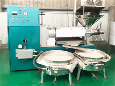 lagos stainless steel oil press capacity palm oil machine