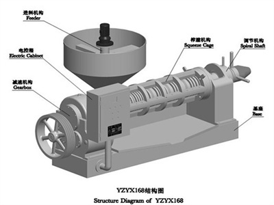 palm oil seed oil press machine wholesale in cape town